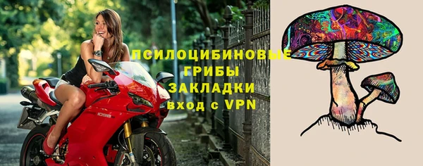 герыч Алексин