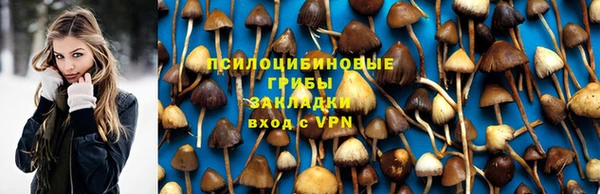 а пвп мука Алексеевка
